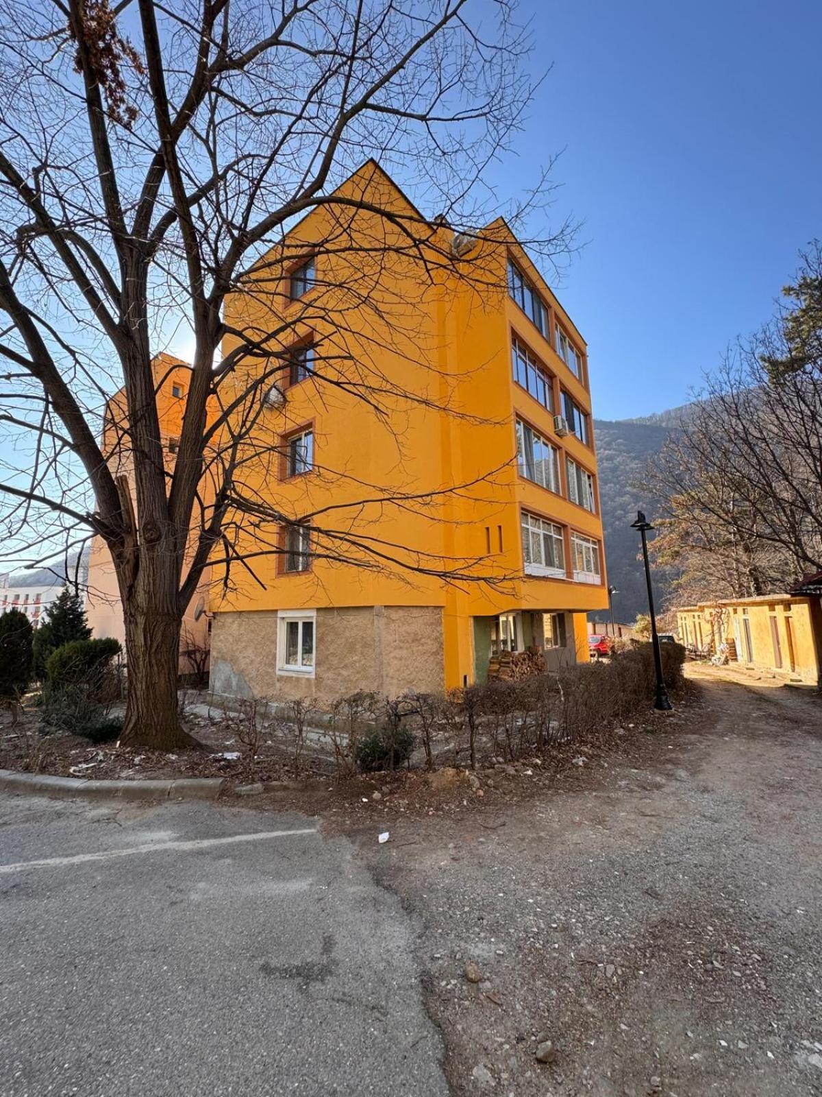 Linen Tree Apartment Baile Herculane Luaran gambar
